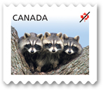 In Canada