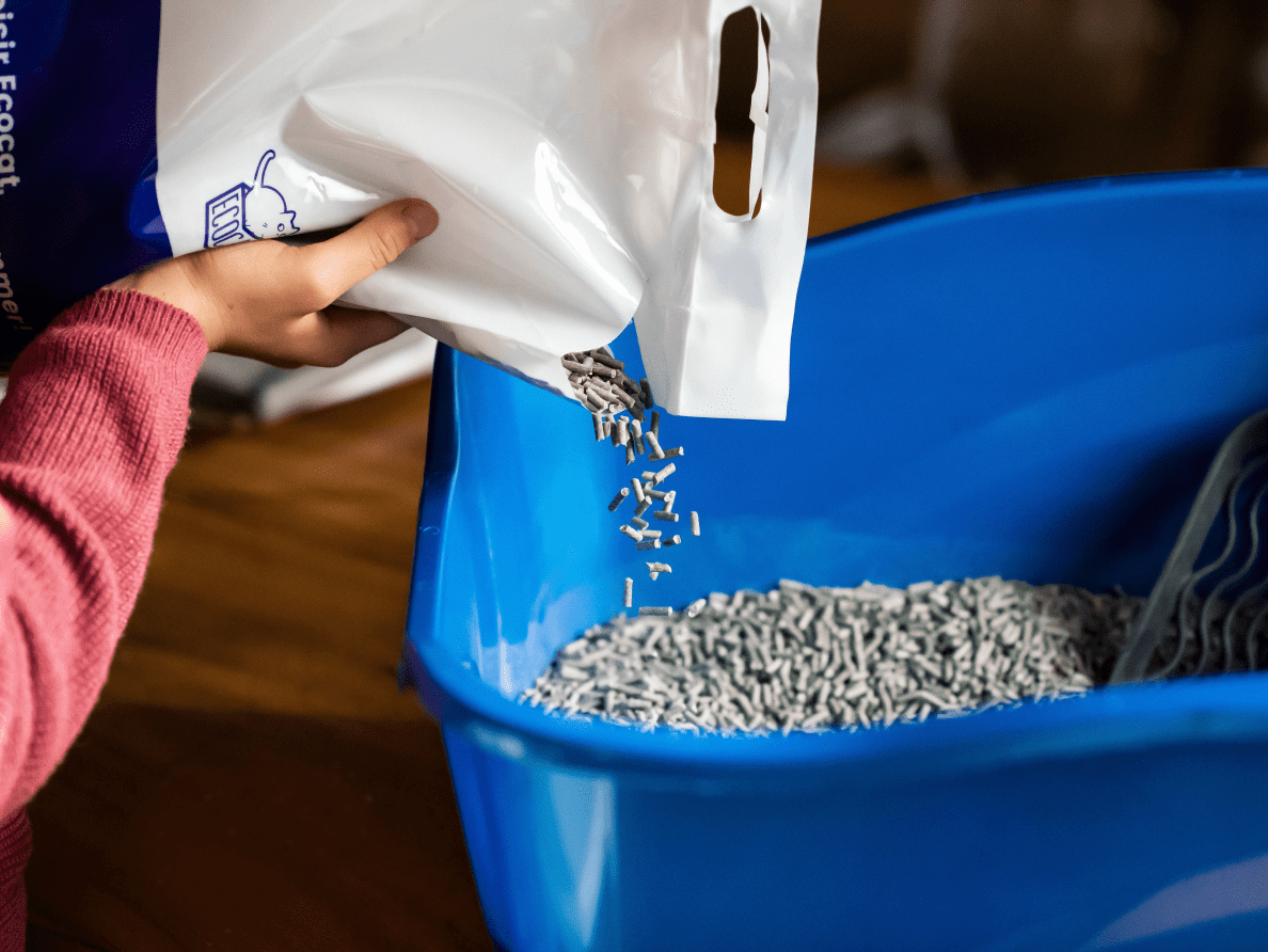 Ecocat litter is poured into a litter box.