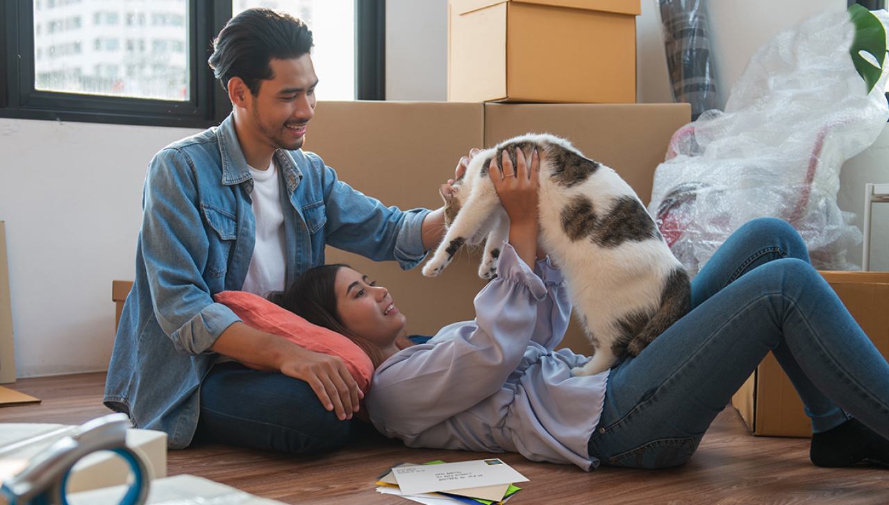 A smiling couple play with a cat on the floor. There is a small stack of mail beside them and stacked cardboard boxes in the background. A smiling couple play with a cat on the floor. There is a small stack of mail beside them and stacked cardboard boxes in the background.