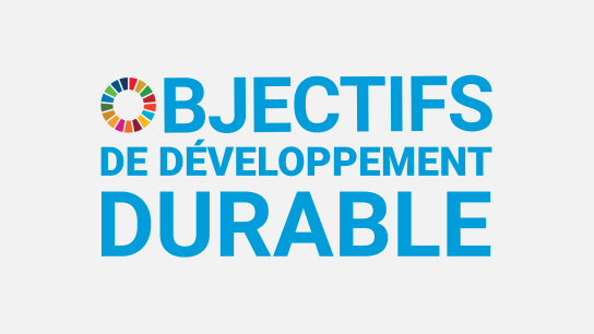 Logo des objectifs de développement durable des Nations Unies.